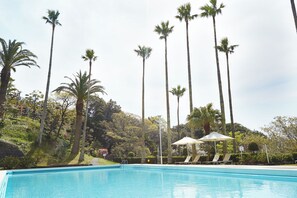 Relax by the serene pool surrounded by lush greenery and tall palm trees.