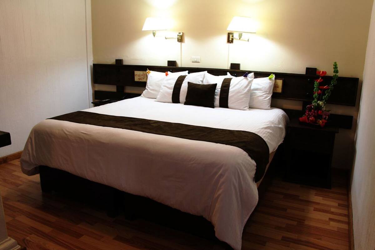 A neatly made bed with white and dark bedding, two bedside lamps, and a small plant on the nightstand.