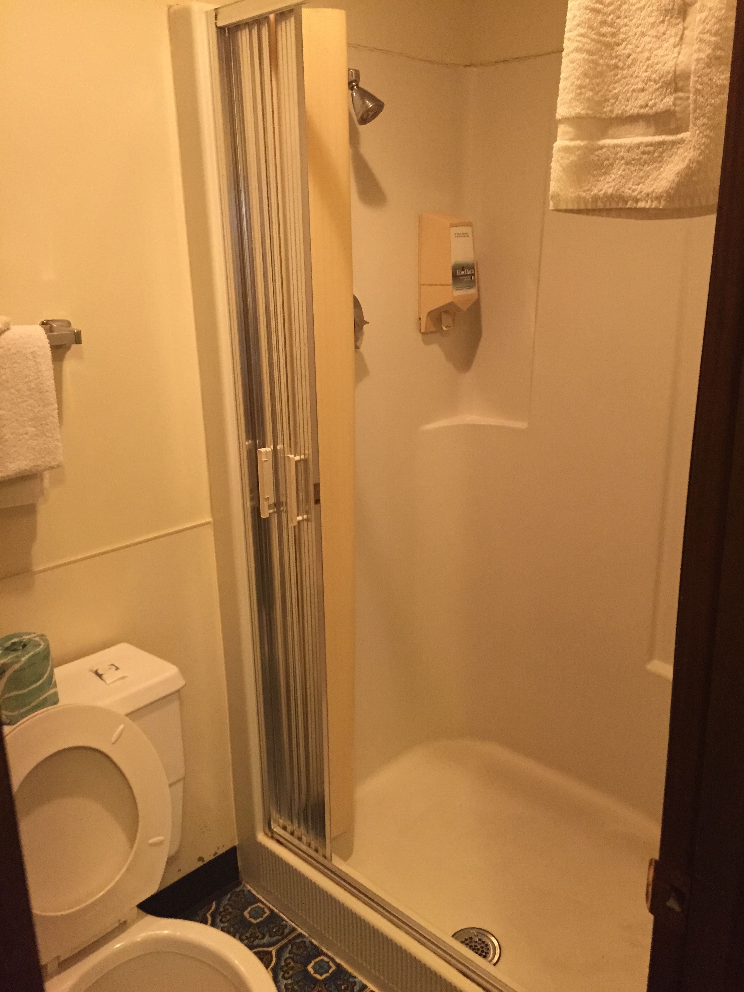 Ein Badezimmer mit Duschkabine, Toilette und Handtuchhalter.
