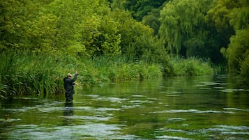 Une personne qui marche dans une rivière, entourée d’une végétation luxuriante.