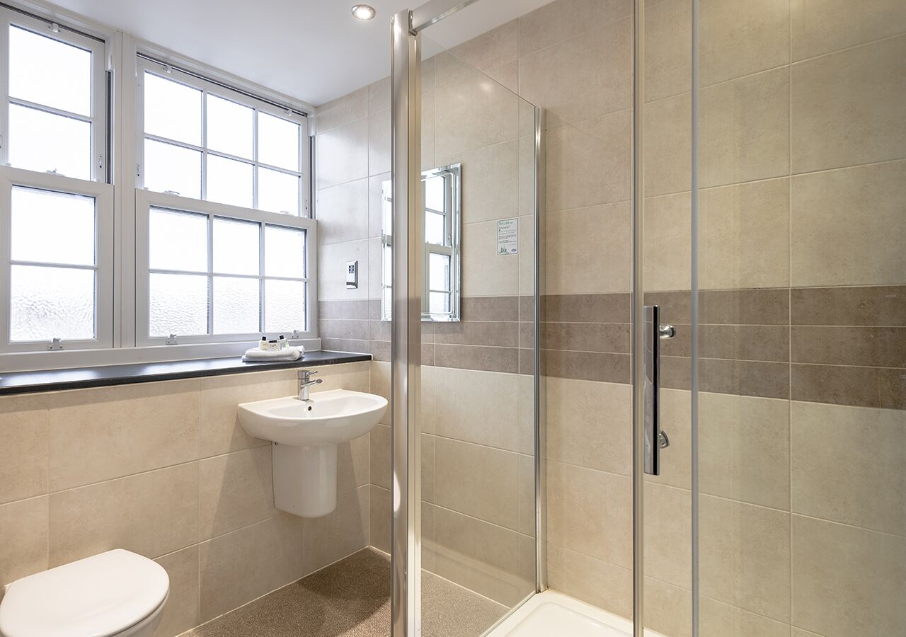 combined shower/bathtub, free toiletries, hair dryer, towels