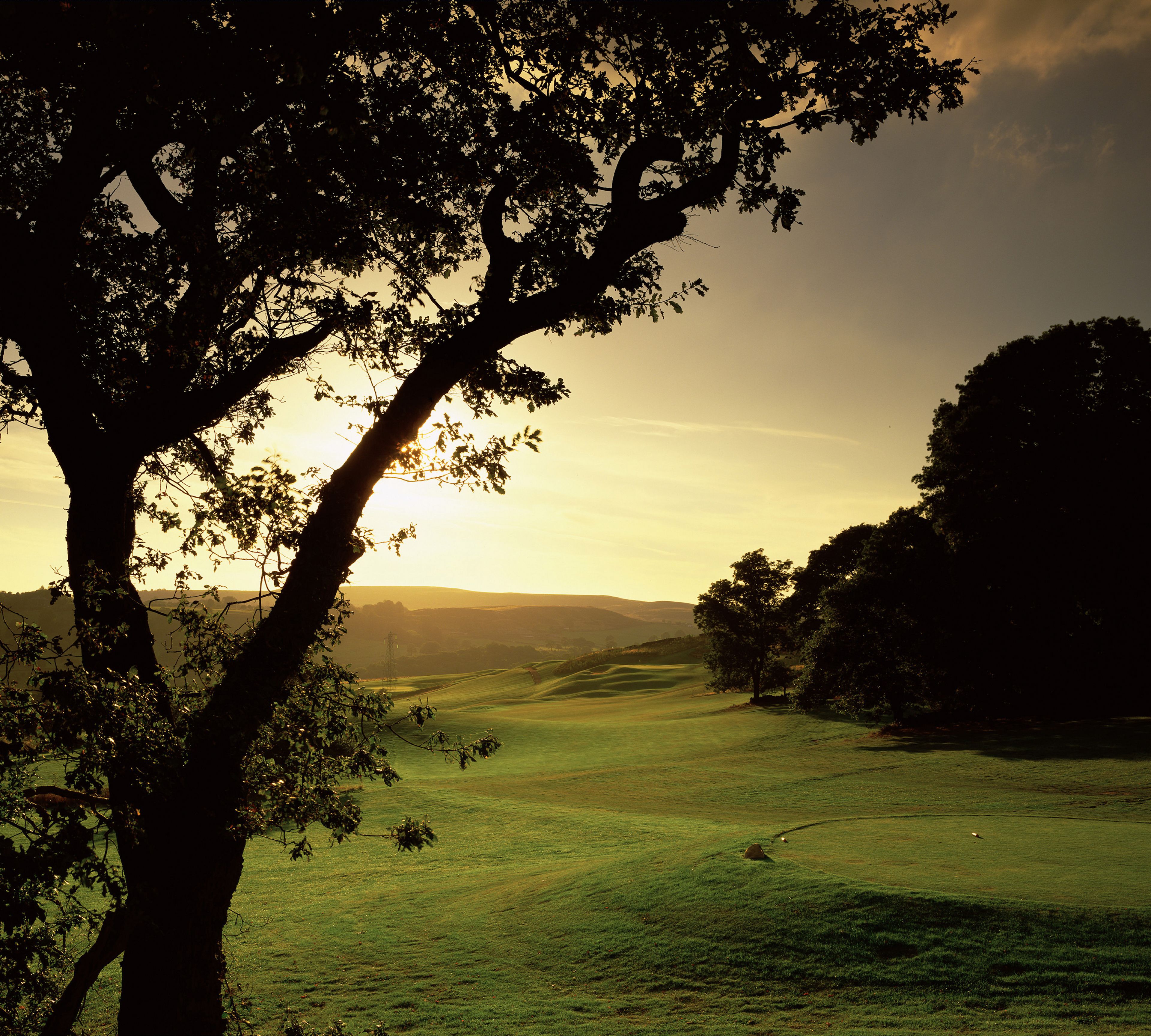 Un campo de golf con un árbol grande en primer plano y un cielo despejado.