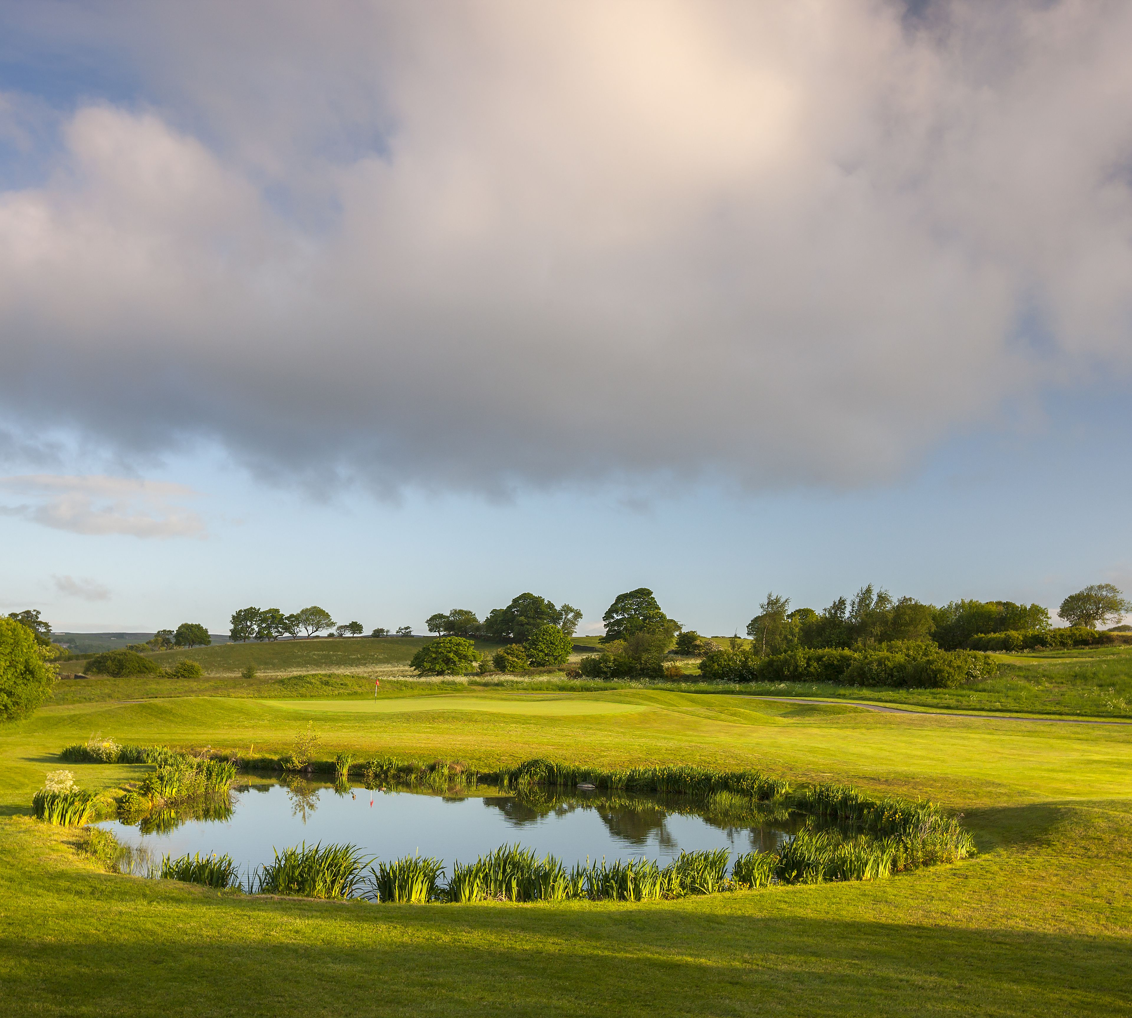 Vista desde la propiedad