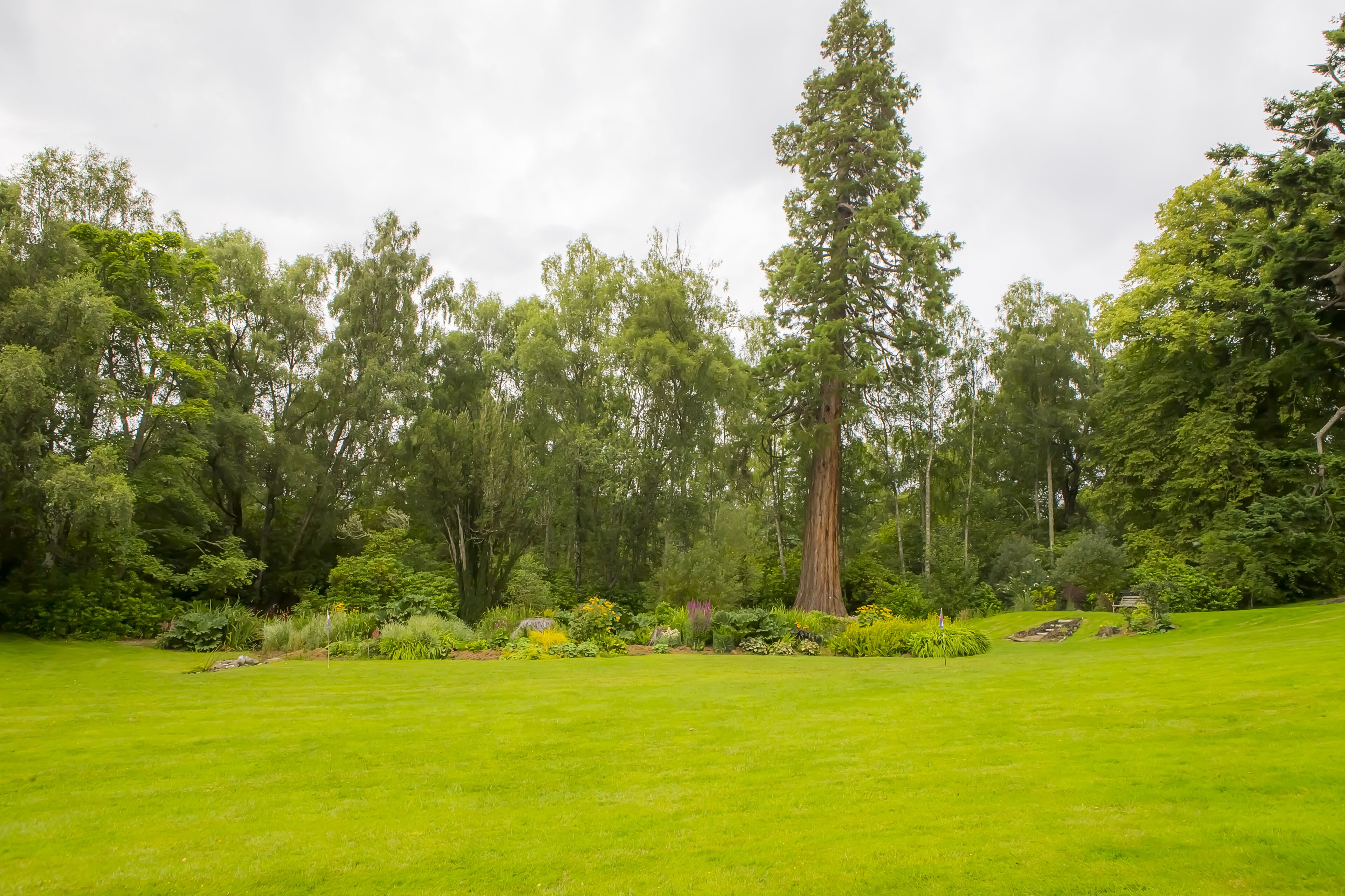 double room with preferred view | garden view