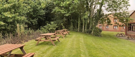 BBQ/picnic Area