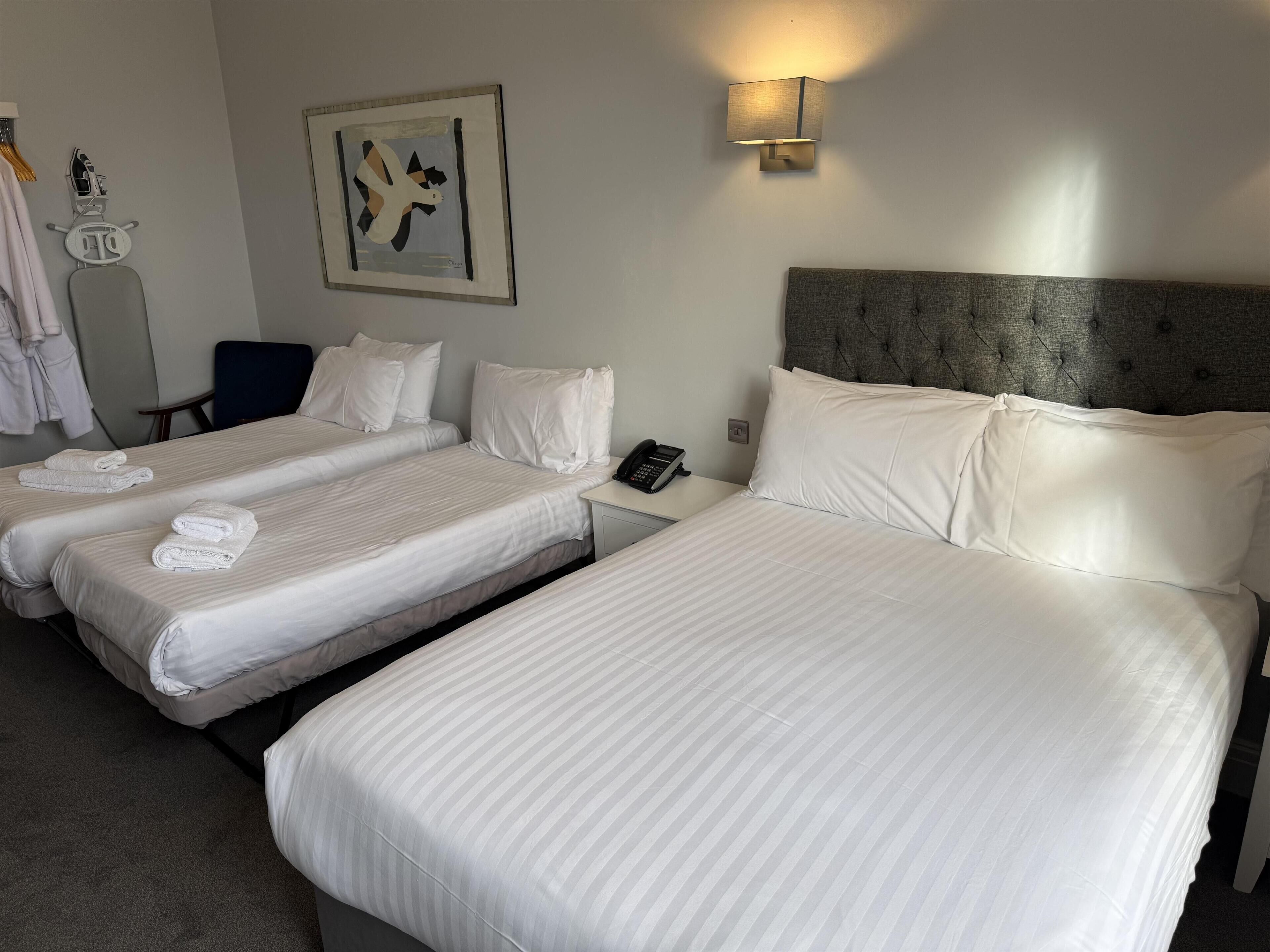 Phòng dành cho gia đình, 1 giường đôi và sofa giường, không hút thuốc (with Sofabed) | Bàn, khu vực làm việc phù hợp cho laptop, bàn ủi/dụng cụ ủi quần áo 