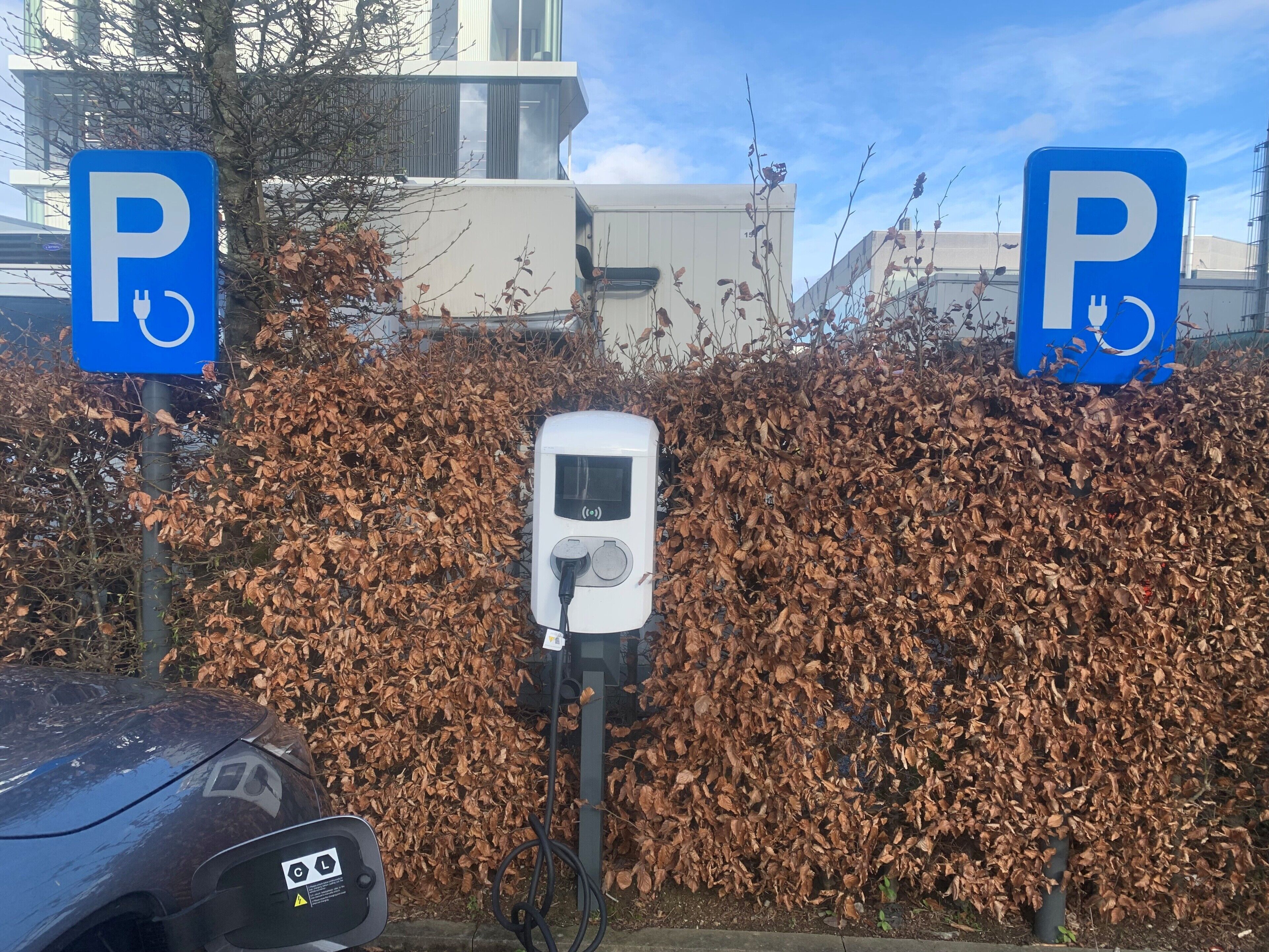 En parkeringsplats med laddstationer för elfordon, en bil och en häck.