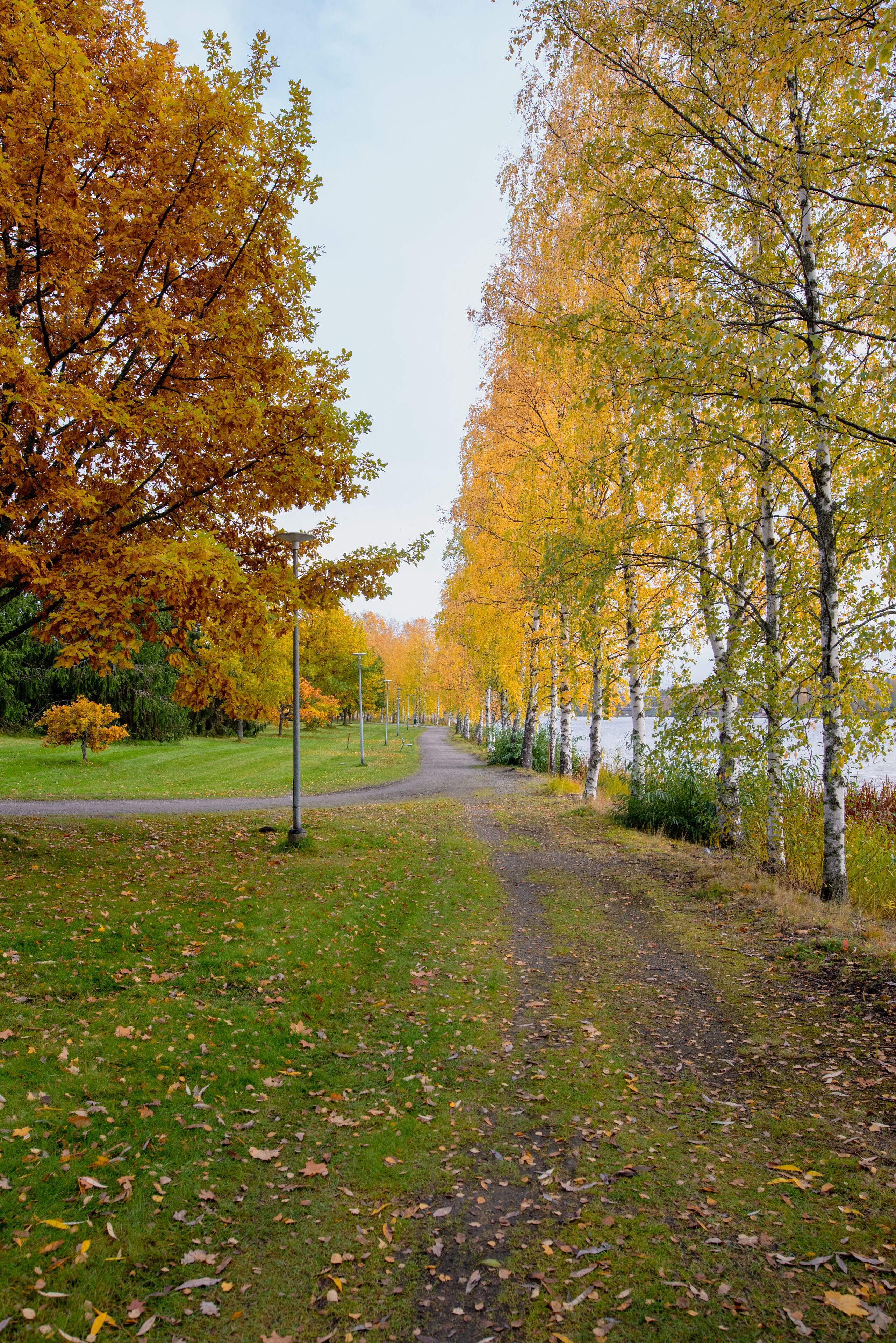 A park pathway with trees displaying autumn foliage, a grassy area, and a body of water in the background.