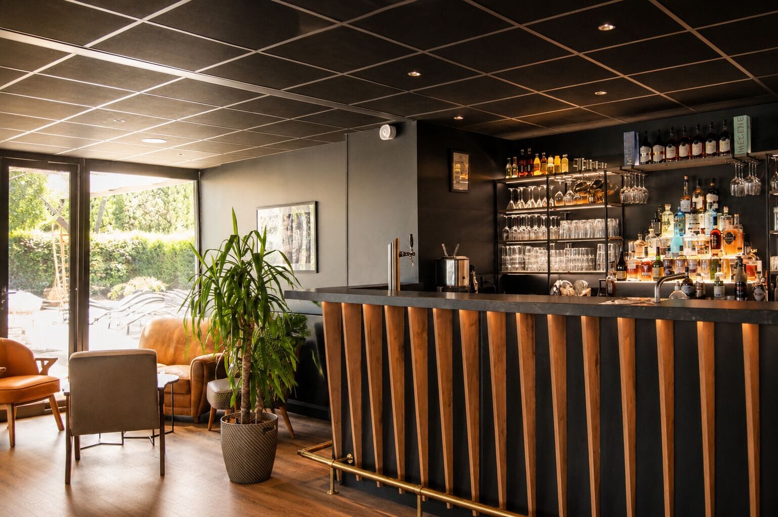 Zona de bar con mostrador de madera, estantes con botellas, vasos y una planta en maceta.
