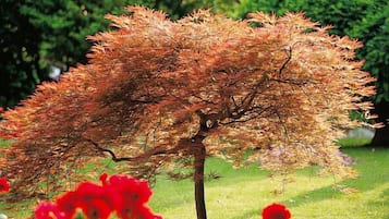 Jardín