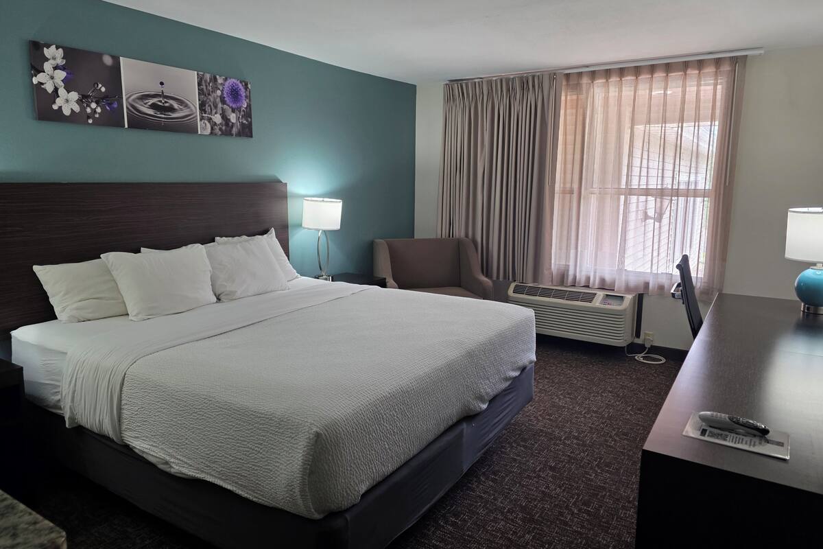 Suite, 1 King Bed with Sofa bed, Accessible, Non Smoking