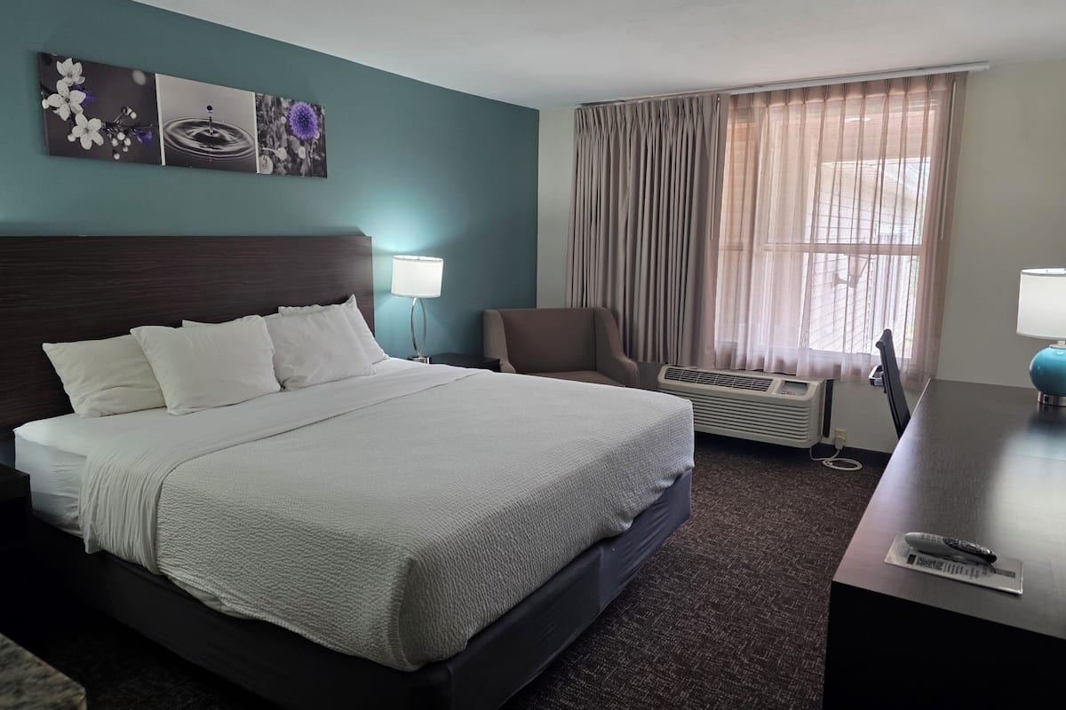 Suite, 1 King Bed with Sofa bed, Accessible, Non Smoking | Hypo-allergenic bedding available, in-room safe, blackout drapes