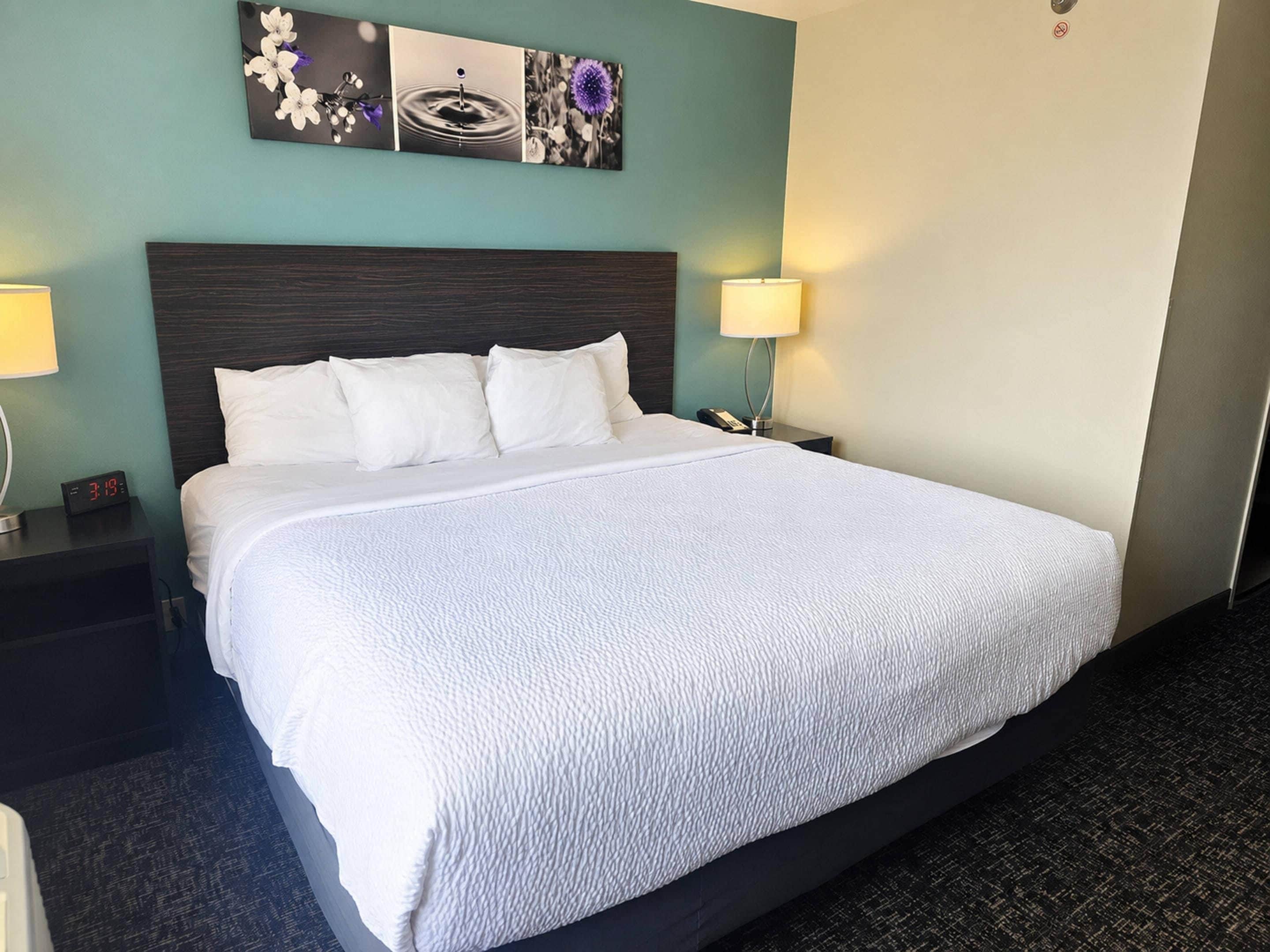 A hotel room with a large bed, two bedside tables, a nightstand, a wall-mounted artwork, and a lamp.