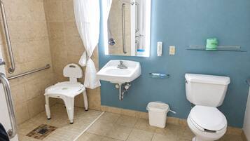 Ein Badezimmer mit Dusche, Toilette, Waschbecken und einem rollstuhlgerechten Sitz.