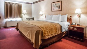 A hotel room with a large bed, two bedside tables with lamps, a window with curtains, a radiator, and a painting on the wall. - Quality Inn Midway (Bethel)