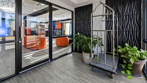 A modern interior with a sliding glass door, a metal hanging chair, and potted plants.