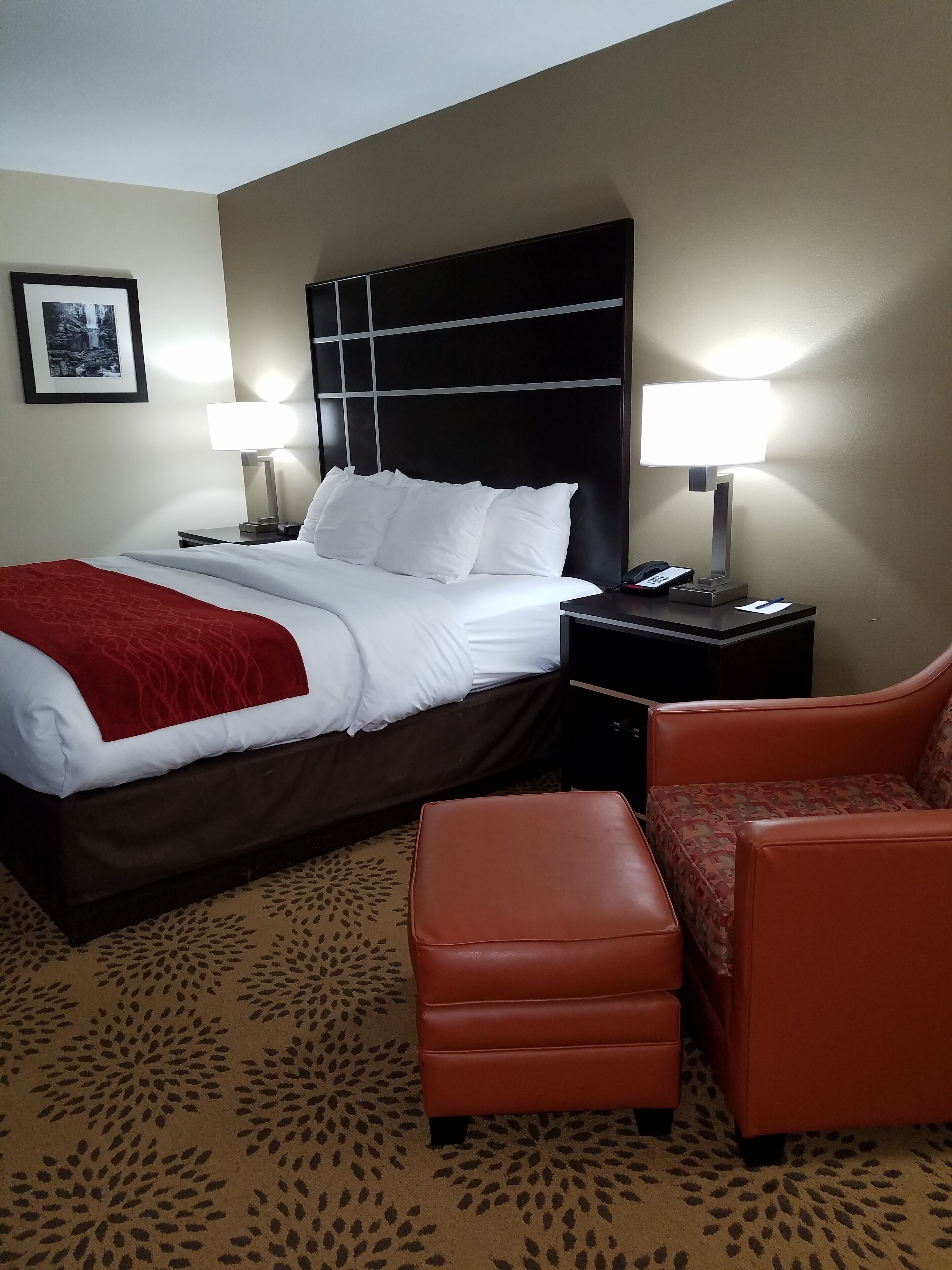 standard room, 1 king bed, non smoking | premium bedding, desk, iron/ironing board, free cots/infant beds