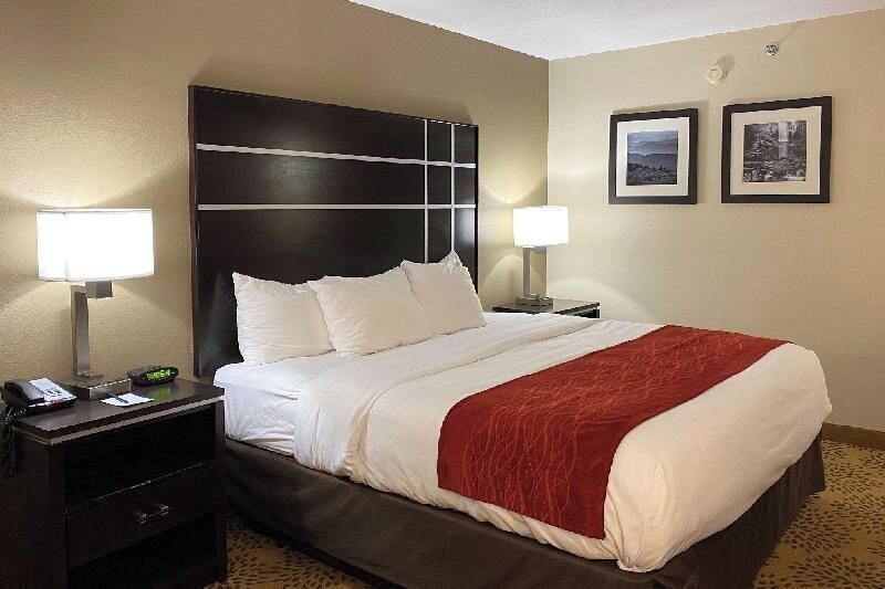 Premium bedding, desk, iron/ironing board, free cots/infant beds