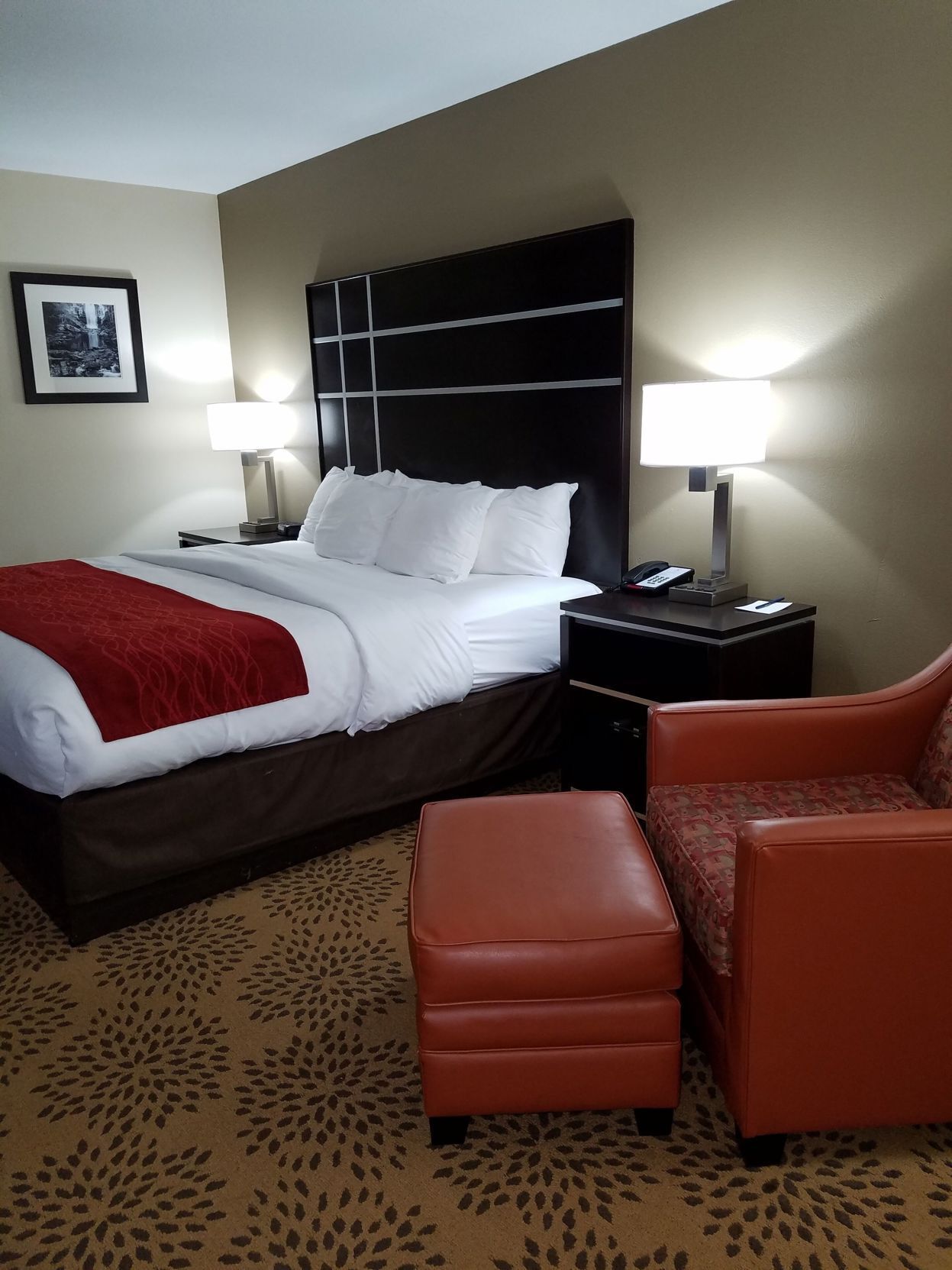 Premium bedding, desk, iron/ironing board, free cots/infant beds