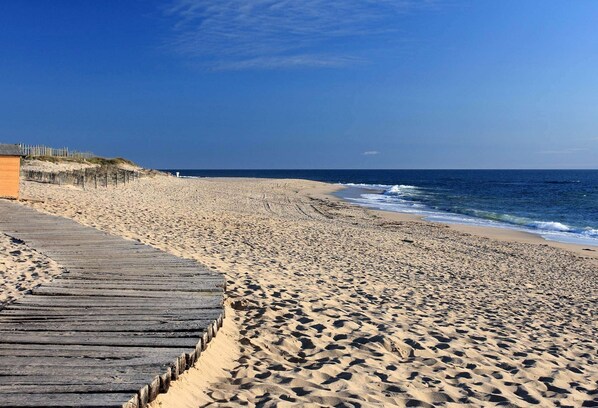 Playa en los alrededores 