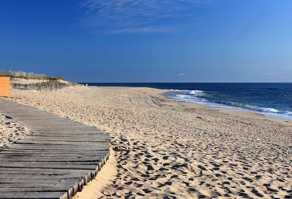 Una playa cerca