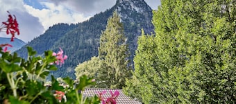 Zum Turm  -  Apartments und Gästezimmer
