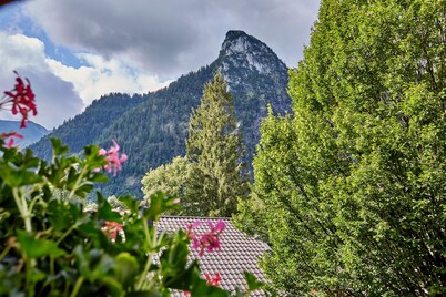 Zum Turm  -  Apartments und Gästezimmer