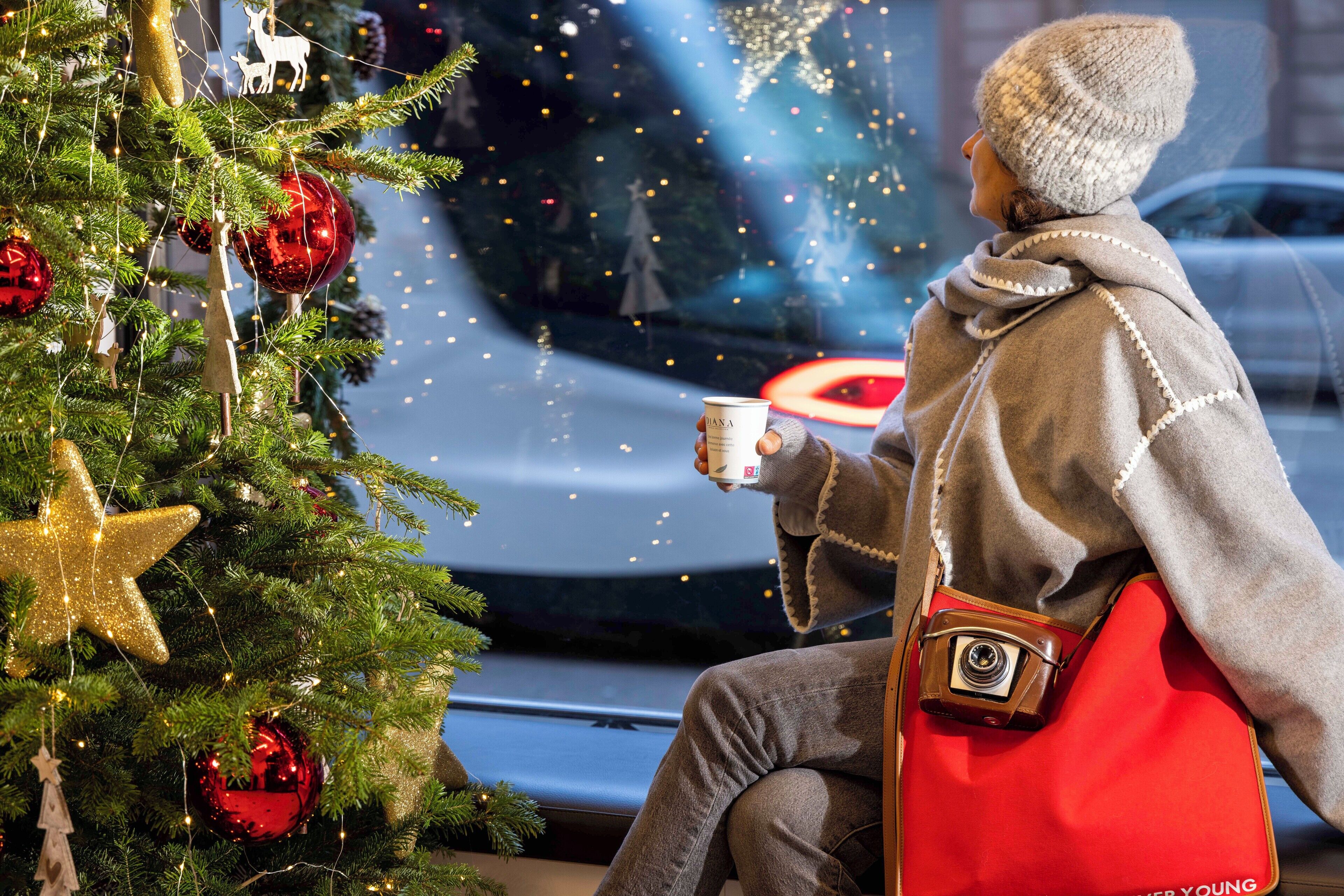 Foto - Hôtel Diana Dauphine