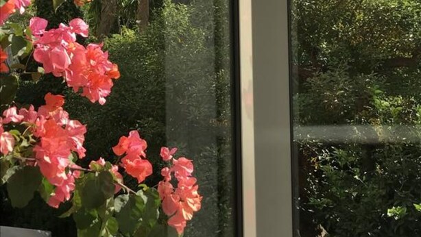 A window with a view of a garden featuring pink flowers and tall palm trees. - Hotel Festival (Cannes)