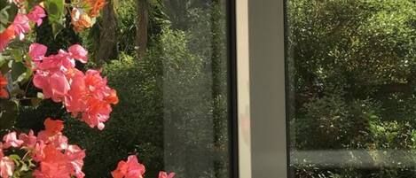 Kamar Double, pemandangan kebun (with SPA access - Sauna and Jacuzzi) | Pemandangan taman