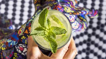 Una persona sosteniendo un vaso con una ramita de menta.