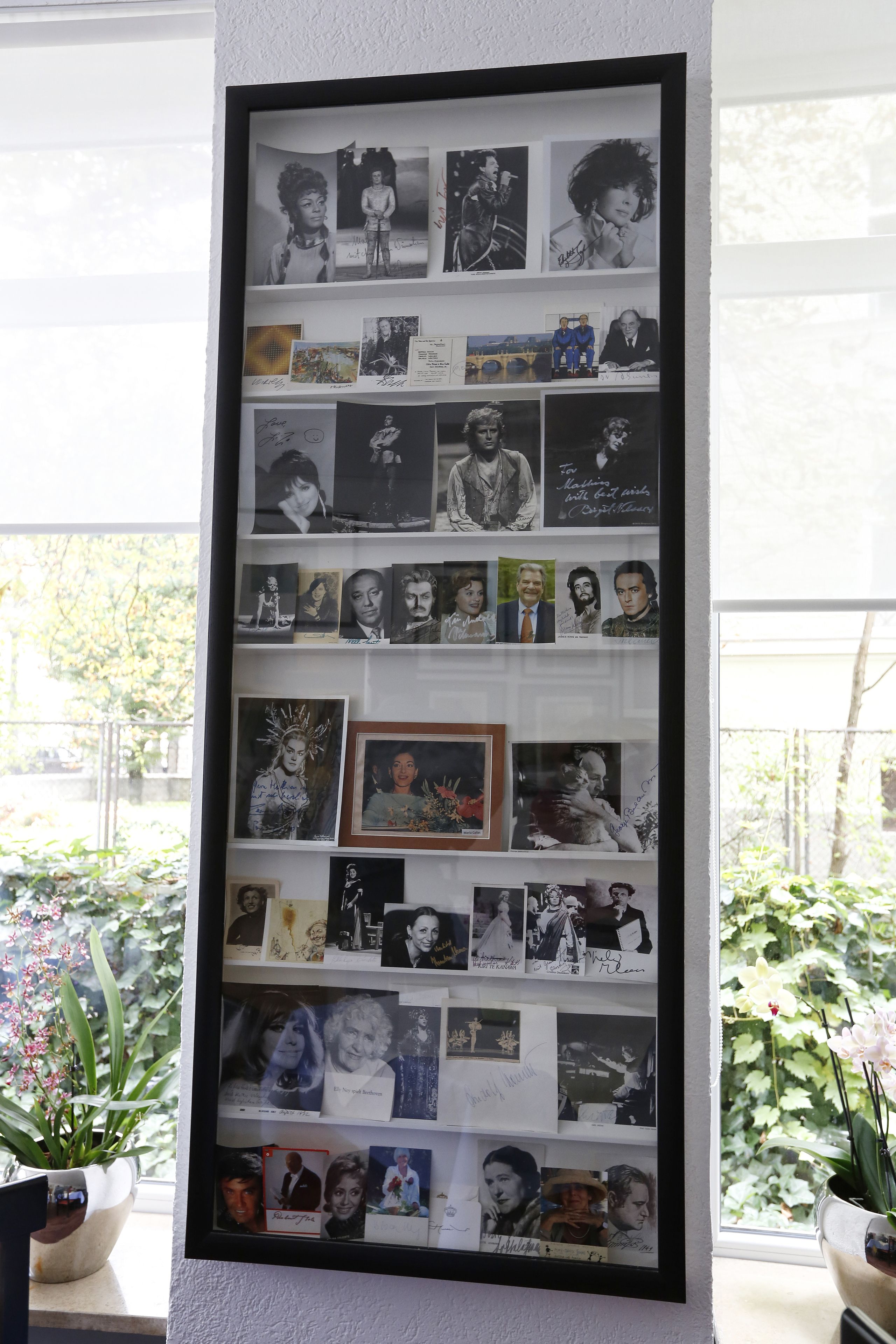 A framed collage of photographs and memorabilia on a wall, with potted plants on either side.