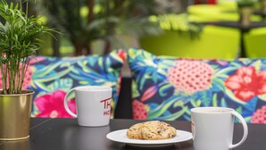 Una mesa con un plato de galletas y dos tazas blancas, una planta en maceta, y un sofá floral y colorido en un espacio de estar al aire libre.