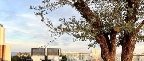 A rooftop pool area with lounge chairs and a tree.