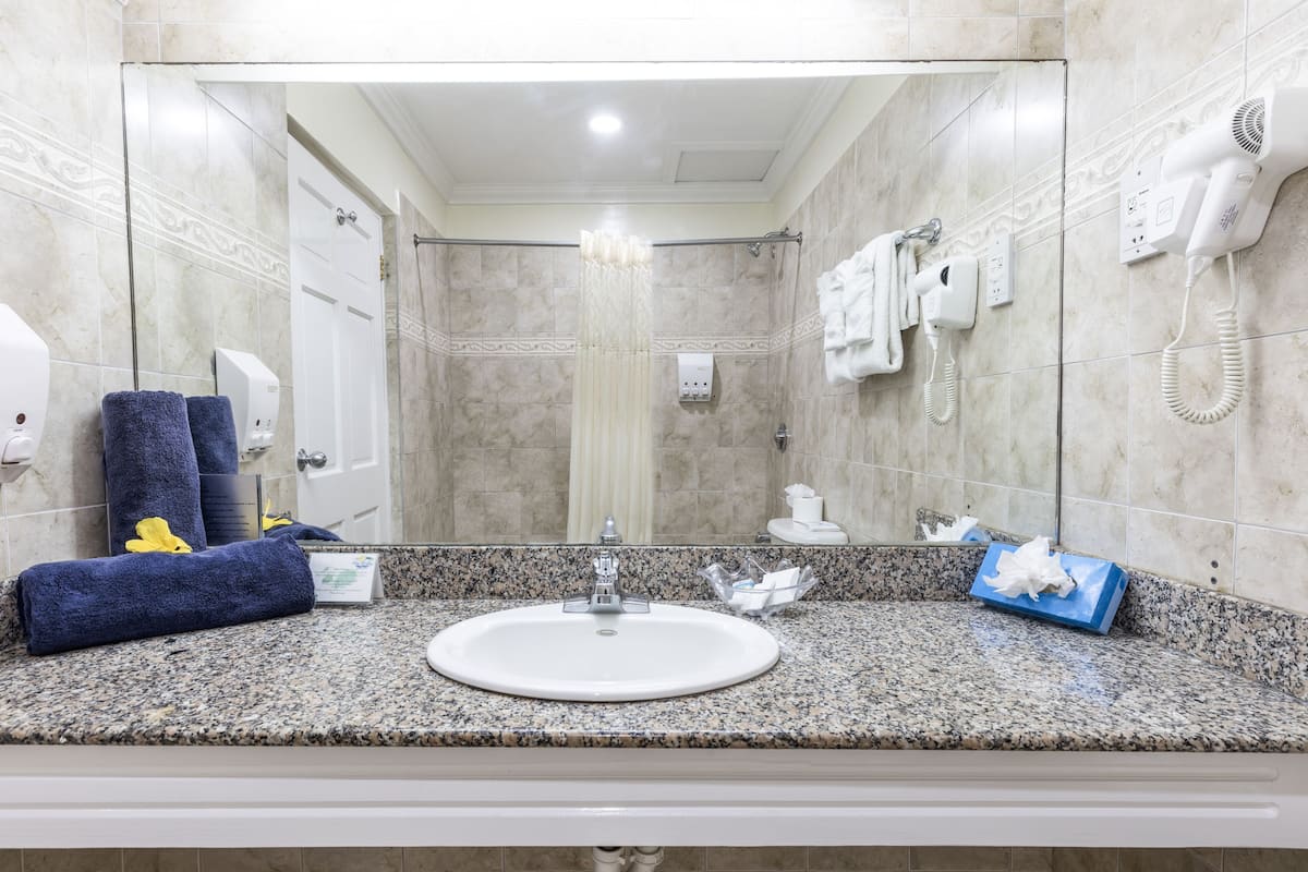 combined shower/bathtub, free toiletries, hair dryer, towels