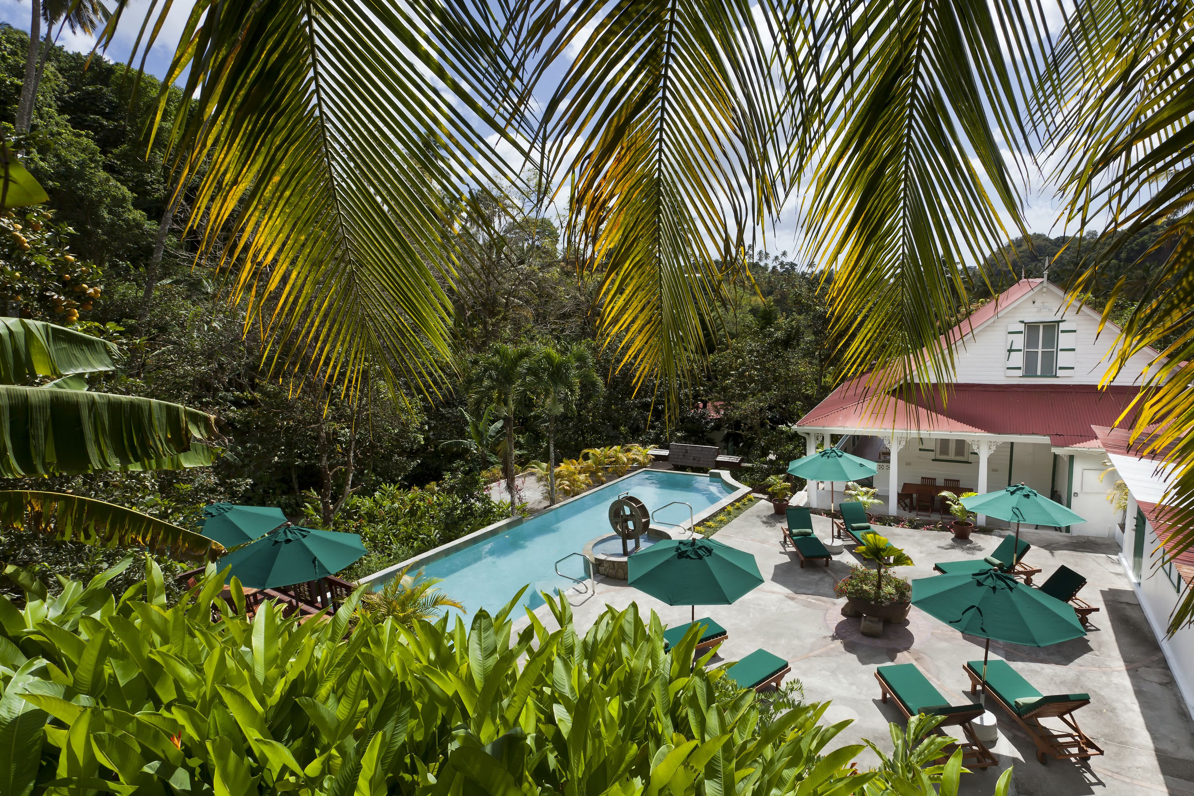A pool area with lounge chairs and umbrellas, surrounded by lush greenery and a building with a red roof.