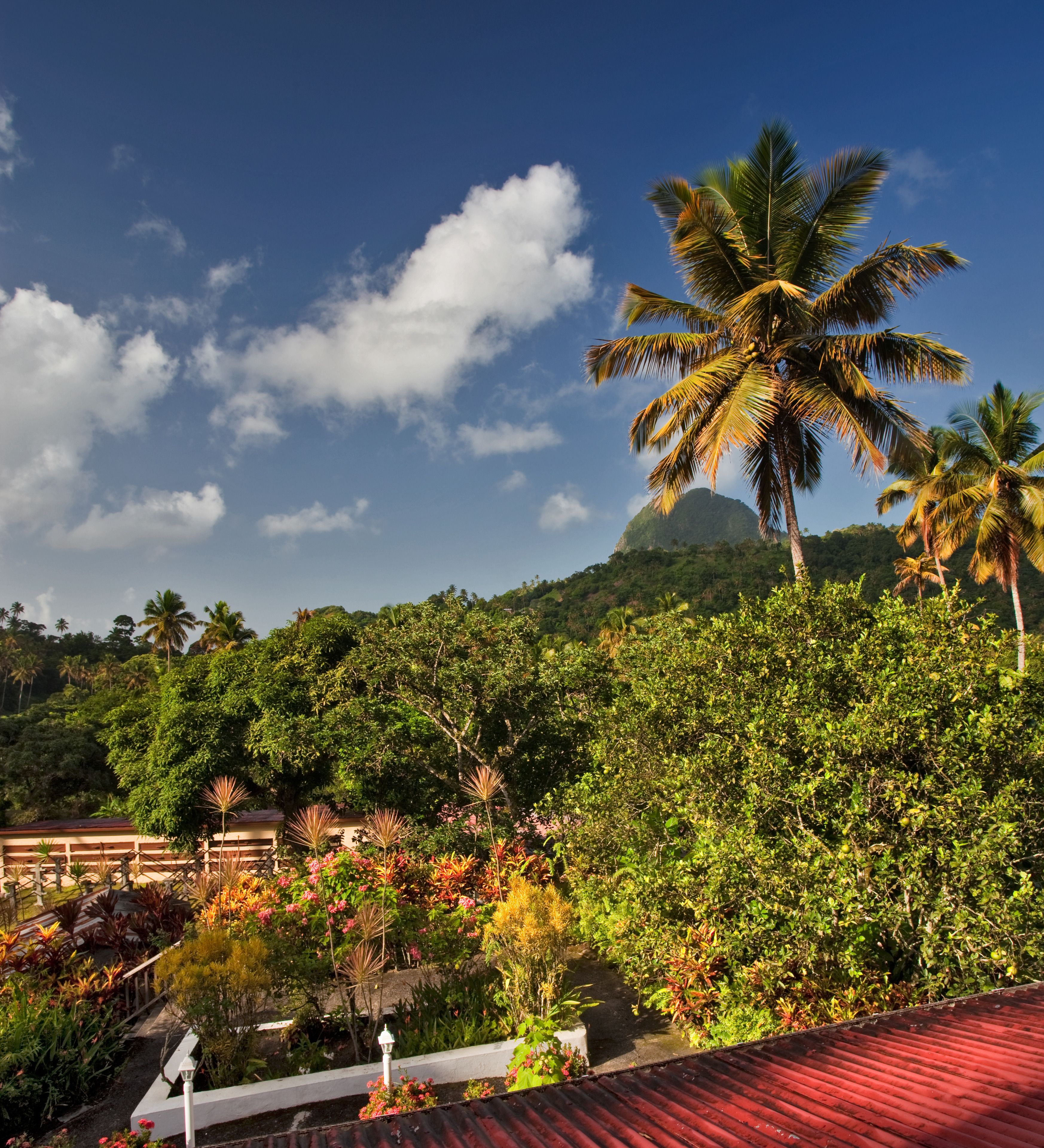 A tropical garden with palm trees, a red-roofed building, and a mountain in the background.