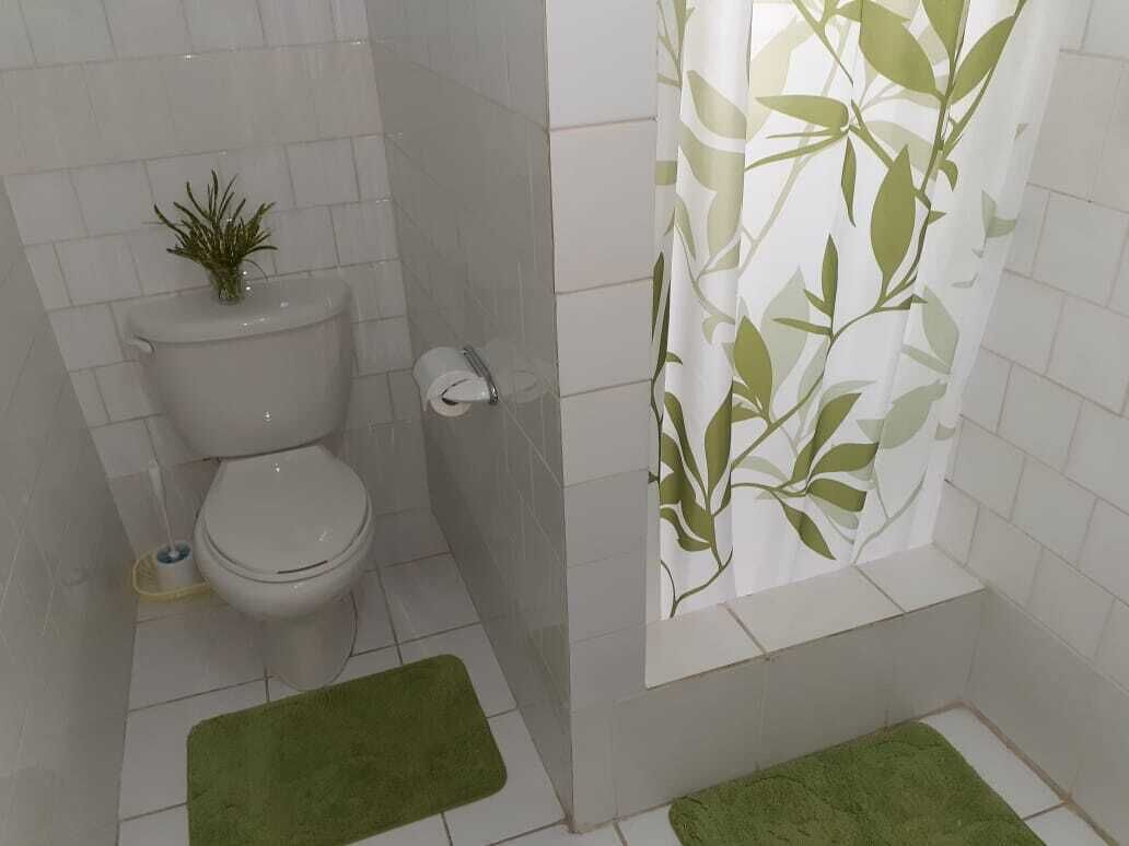 A bathroom with a toilet, a small plant on the tank, a toilet paper holder, and a shower curtain with a leaf pattern.