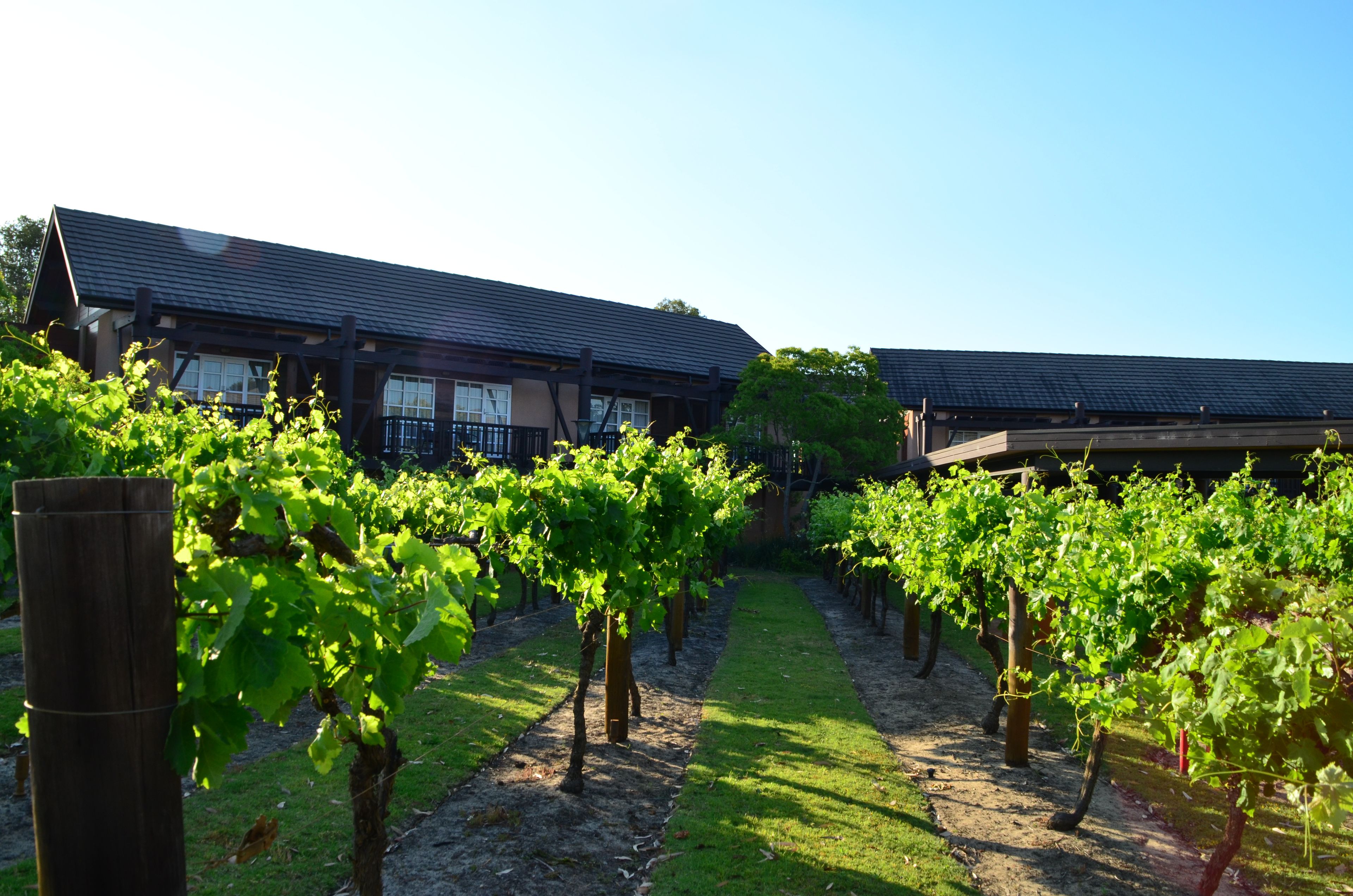 winery