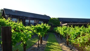 A vineyard with rows of grapevines and a building with a dark roof. - Novotel Vines Resort Swan Valley (The Vines)