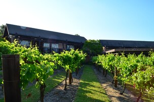 Bodega de vino