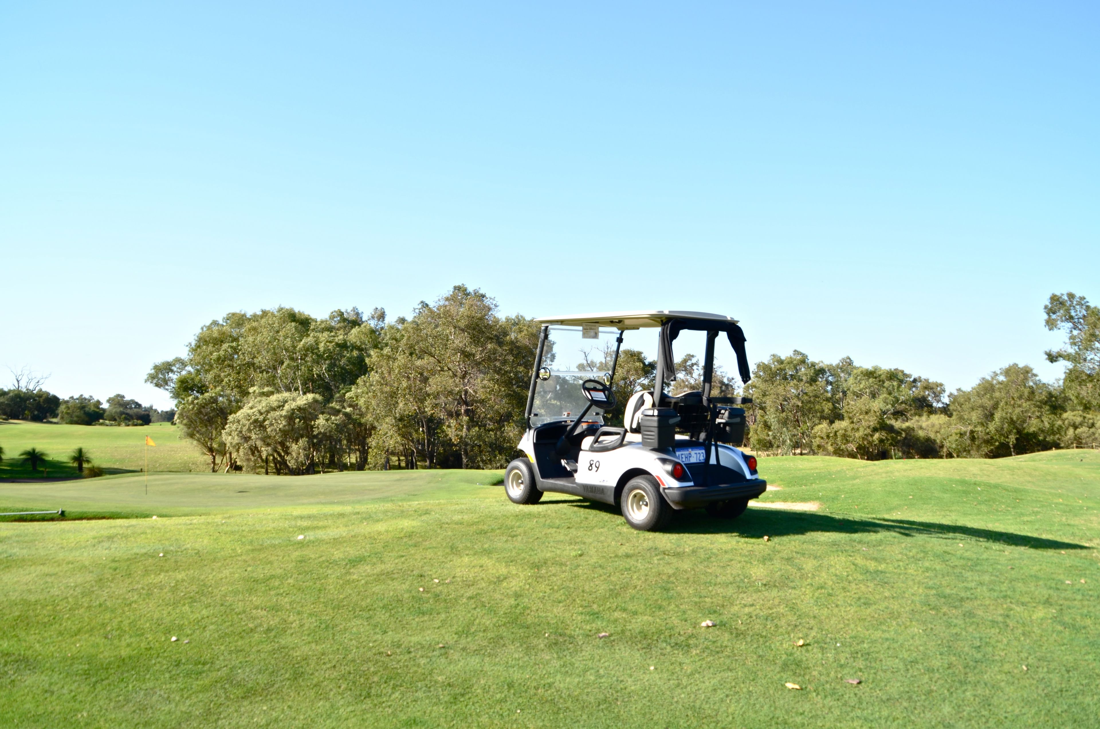 A golf cart on a green field with trees in the background.