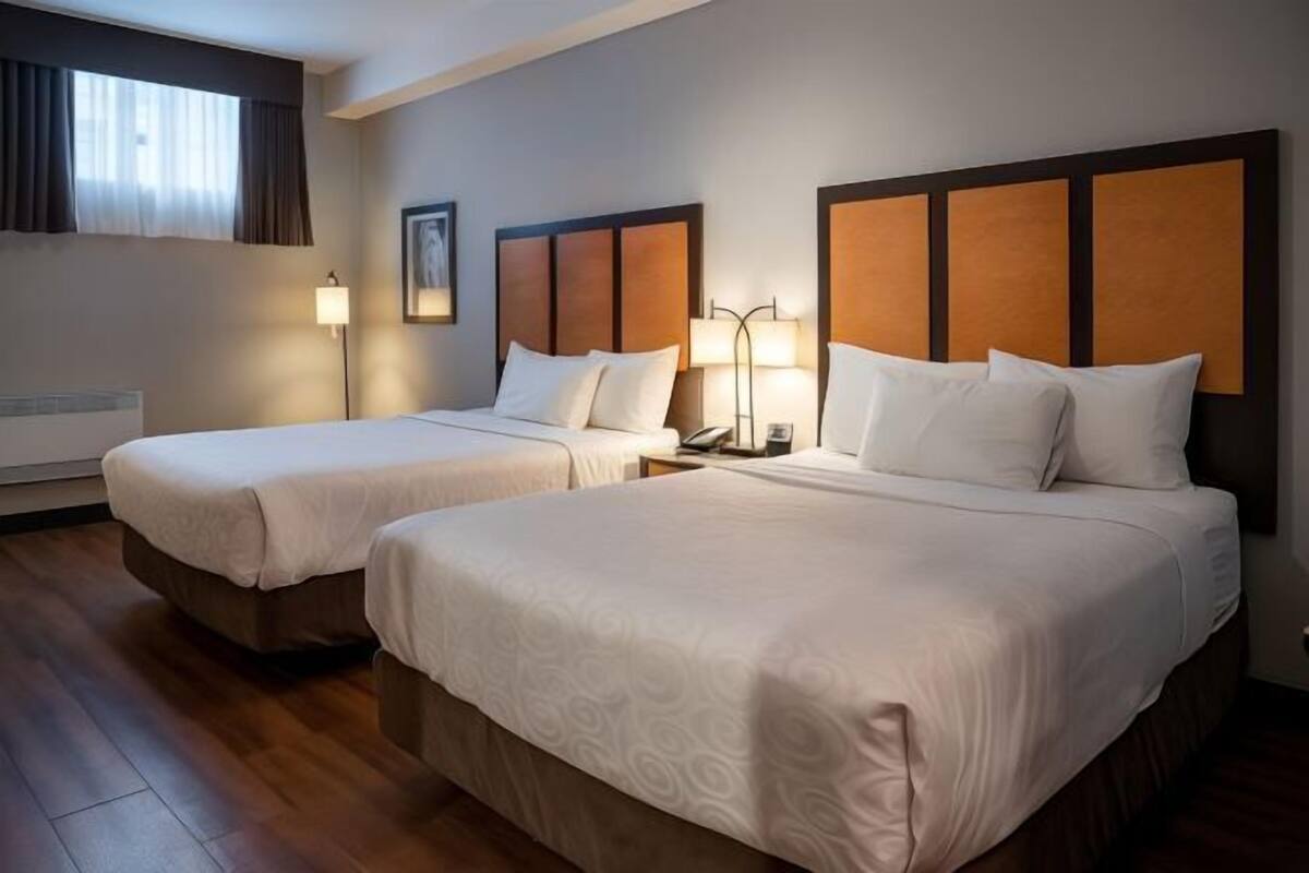 Ropa de cama hipoalergénica y caja de seguridad en la habitación