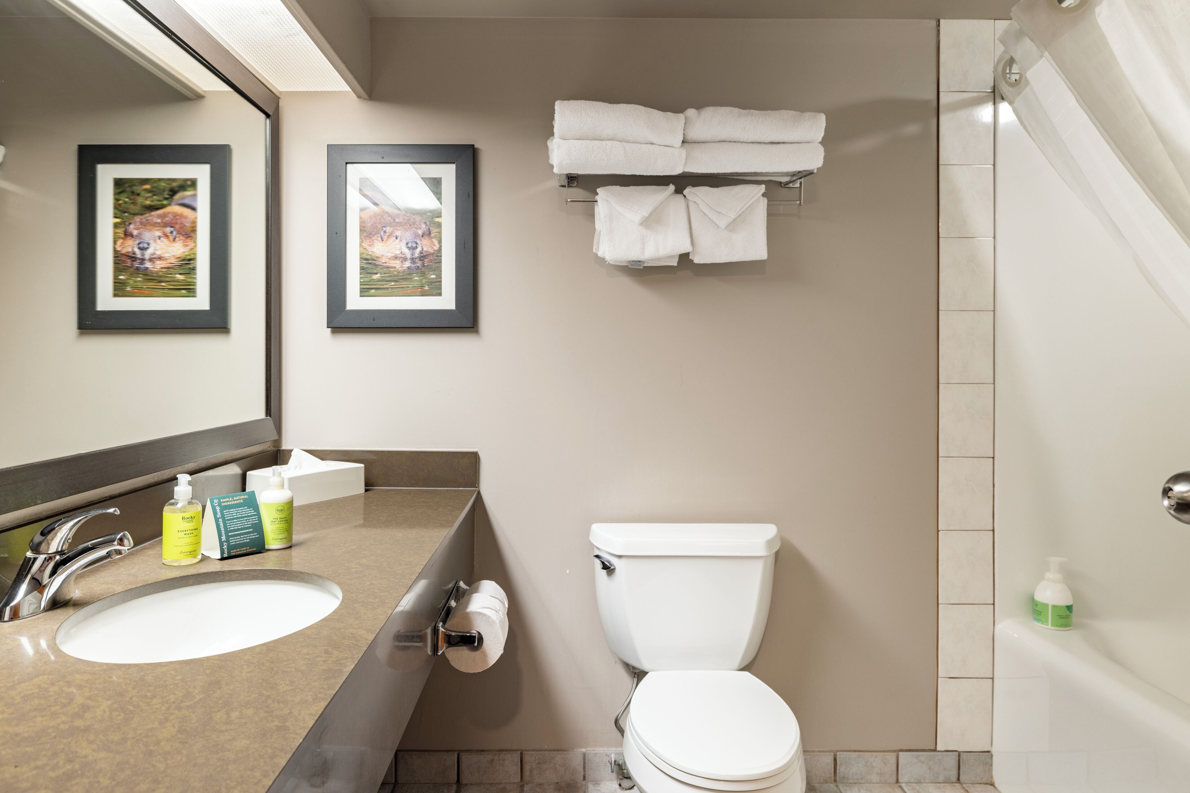 Une salle de bain équipée d’un lavabo, de toilettes et d’un porte-serviettes.