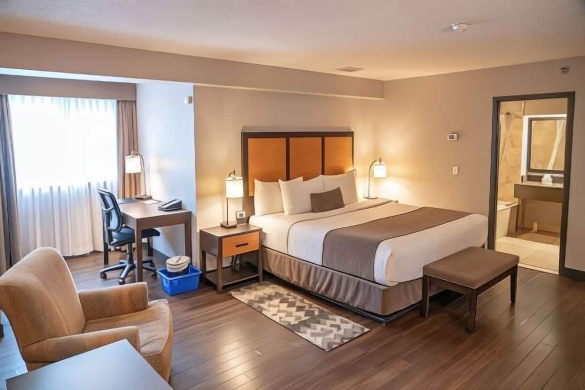 Ropa de cama hipoalergénica y caja de seguridad en la habitación