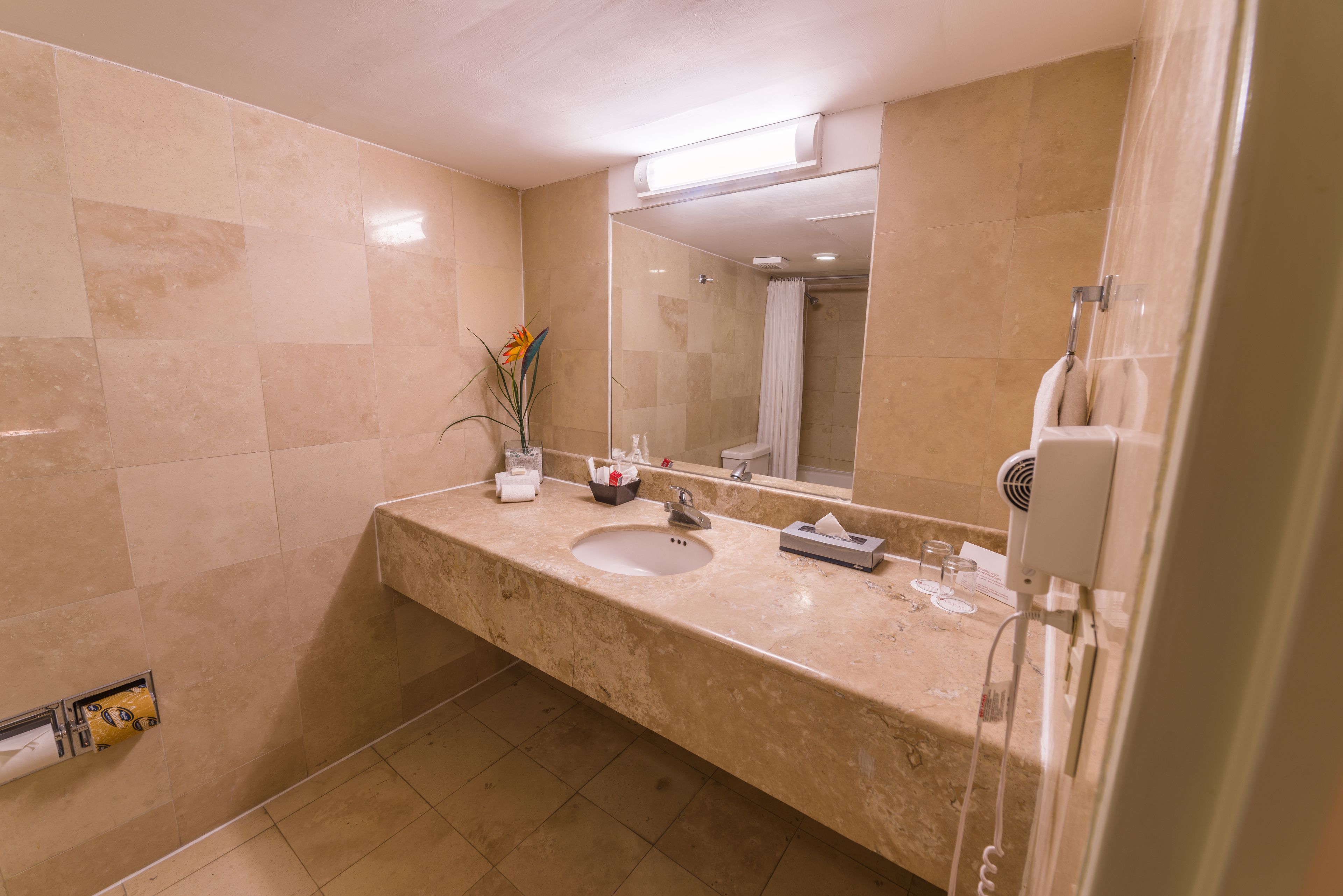 Baño con lavabo, espejo y ducha.