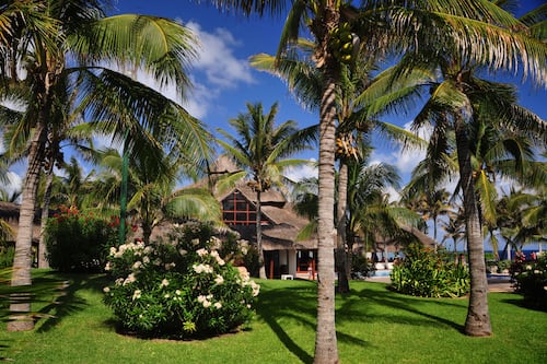 Jardín