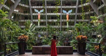 The Grand Oasis Cancun - All Inclusive