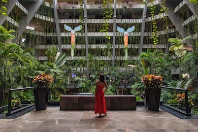 The Grand Oasis Cancun - All Inclusive