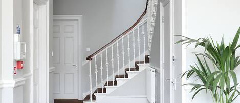 A hallway with a brown carpet, white walls, a white door, a staircase with white railings, and a potted plant.